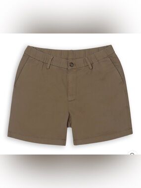 Bearbottom Stretch Chino Shorts